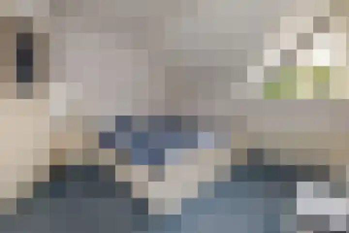 Nieënhof 20 Heeten thumbnail 19