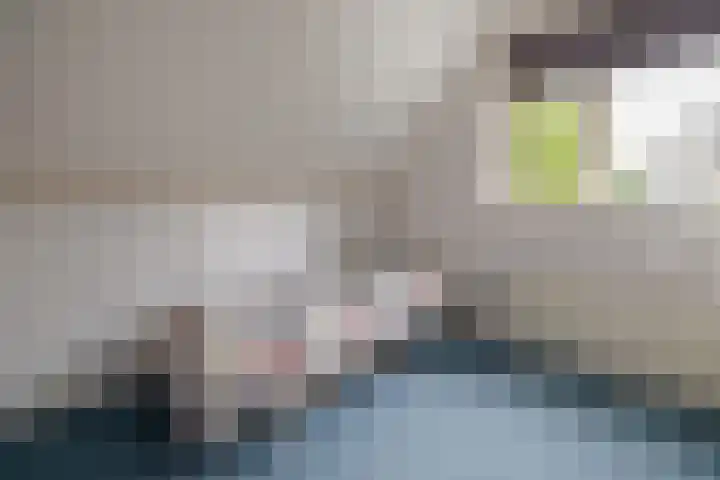 Nieënhof 20 Heeten thumbnail 21
