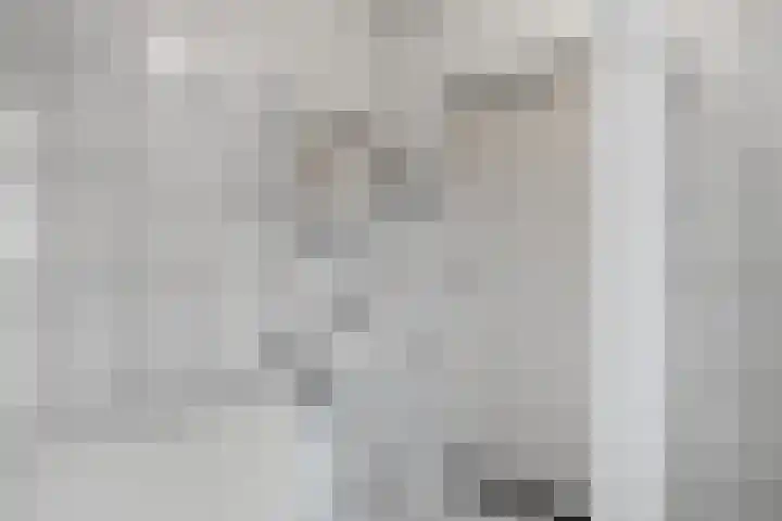 Nieënhof 20 Heeten thumbnail 24