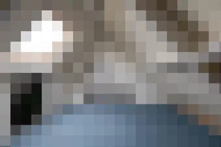 Nieënhof 20 Heeten thumbnail 26