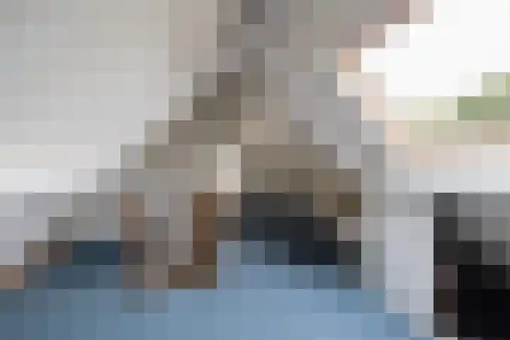 Nieënhof 20 Heeten thumbnail 27