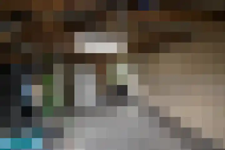 Nieënhof 20 Heeten thumbnail 28