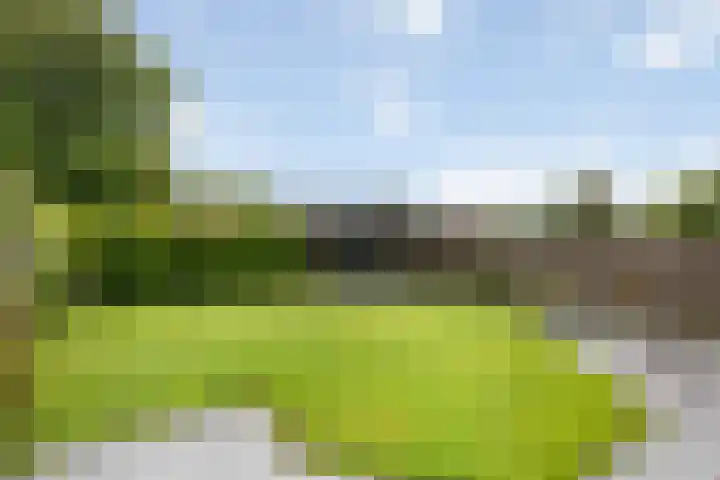 Nieënhof 20 Heeten thumbnail 31
