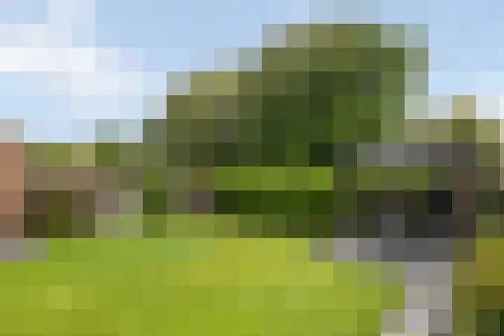 Nieënhof 20 Heeten thumbnail 32