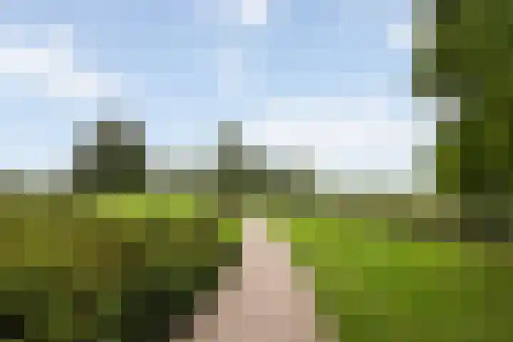 Nieënhof 20 Heeten thumbnail 34