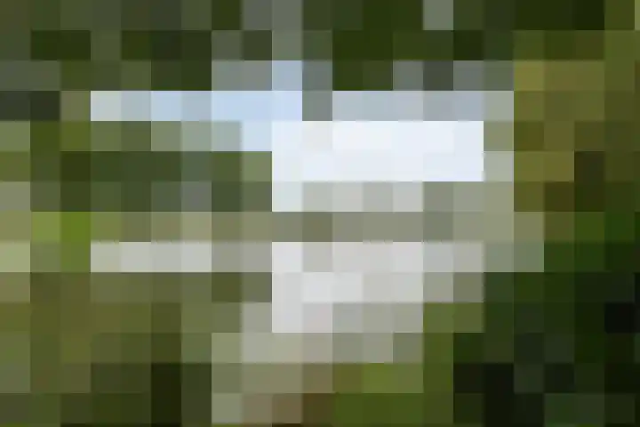 Nieënhof 20 Heeten thumbnail 35
