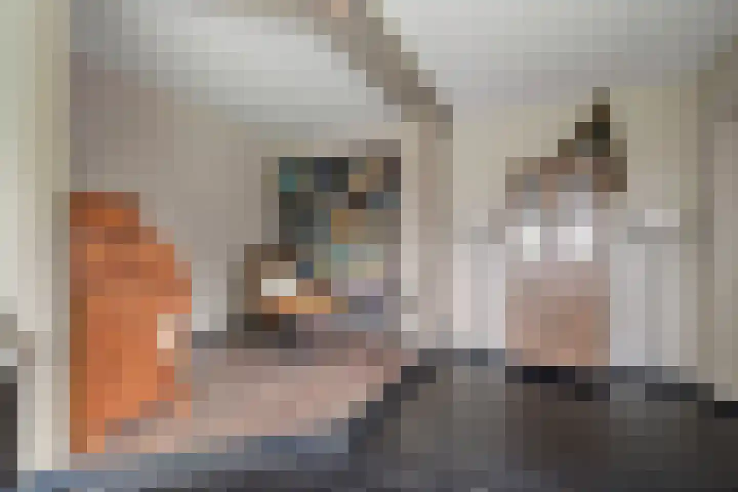 Nieënhof 36 Heeten thumbnail 18