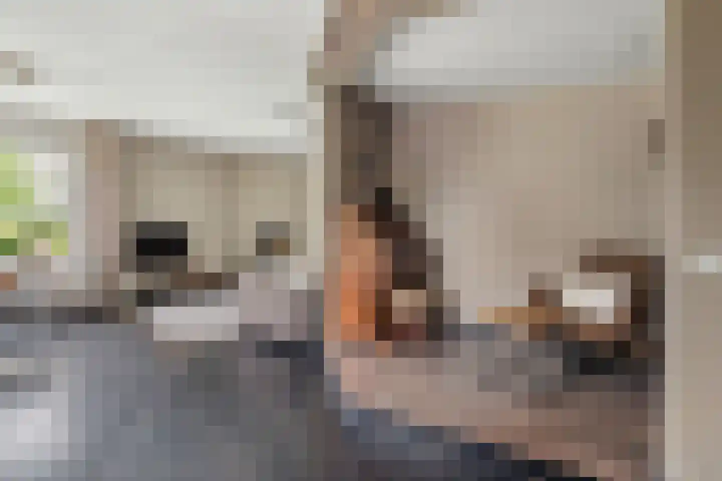 Nieënhof 36 Heeten thumbnail 19