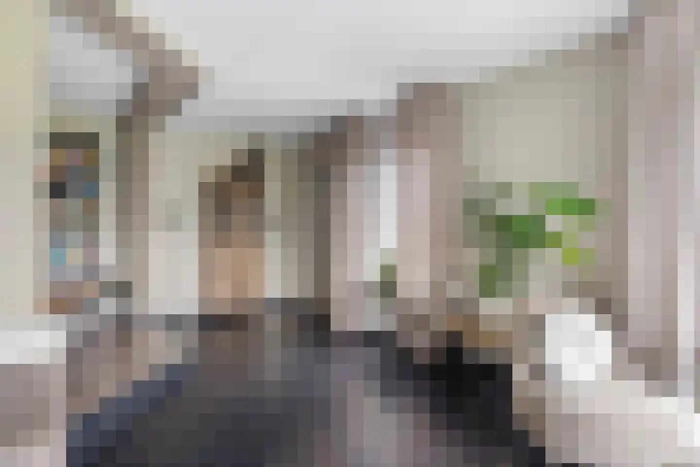 Nieënhof 36 Heeten thumbnail 21