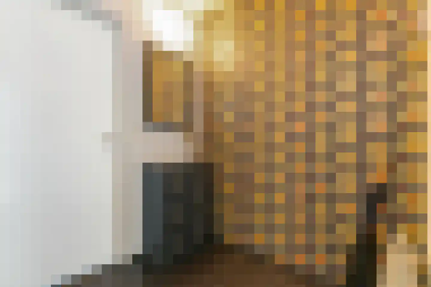 Nieënhof 36 Heeten thumbnail 31