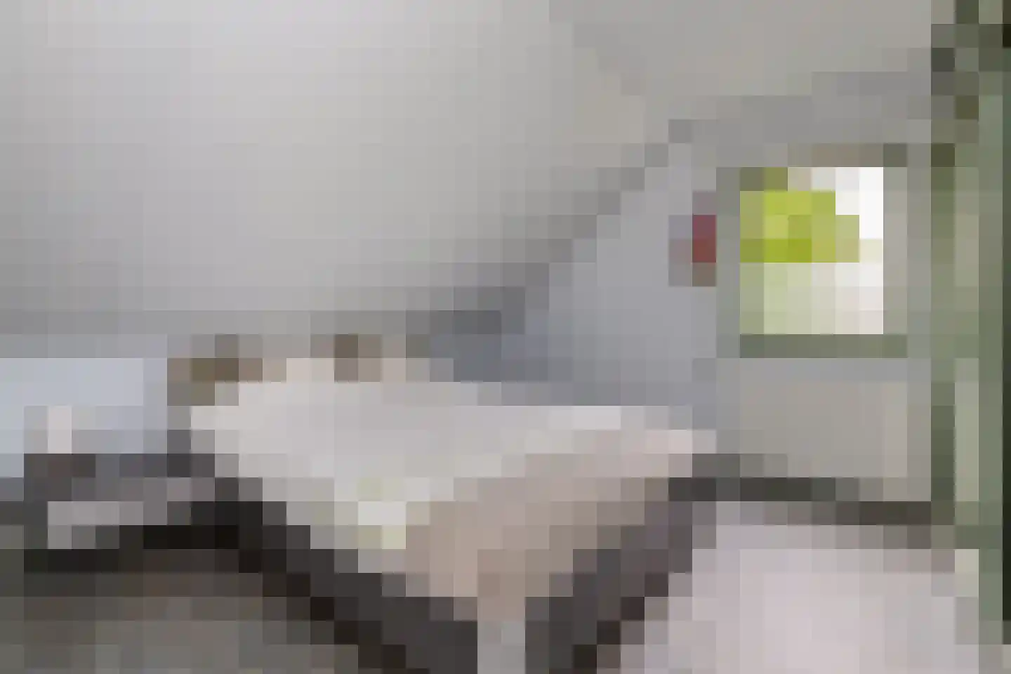 Nieënhof 36 Heeten thumbnail 33
