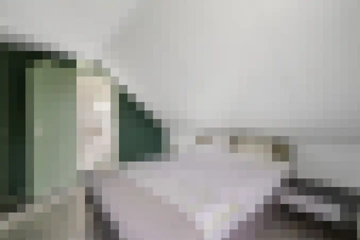 Nieënhof 36 Heeten thumbnail 34