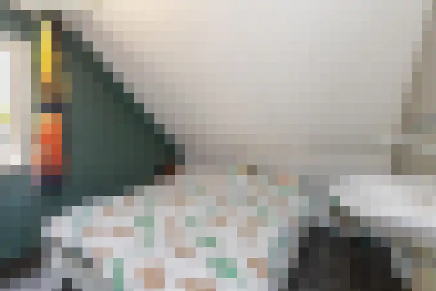 Nieënhof 36 Heeten thumbnail 37