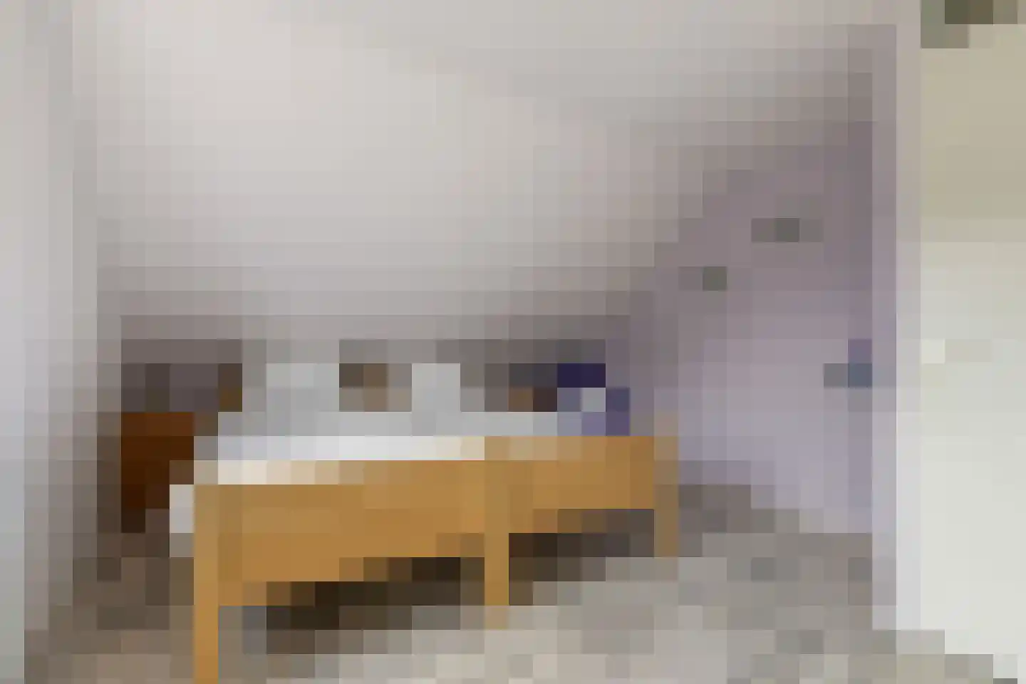 Nieënhof 36 Heeten thumbnail 38