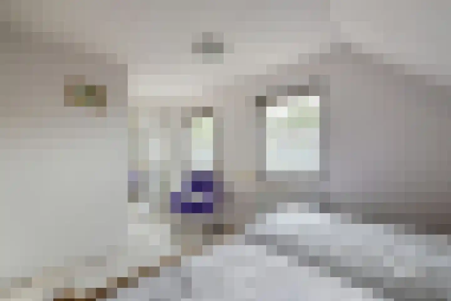 Nieënhof 36 Heeten thumbnail 39