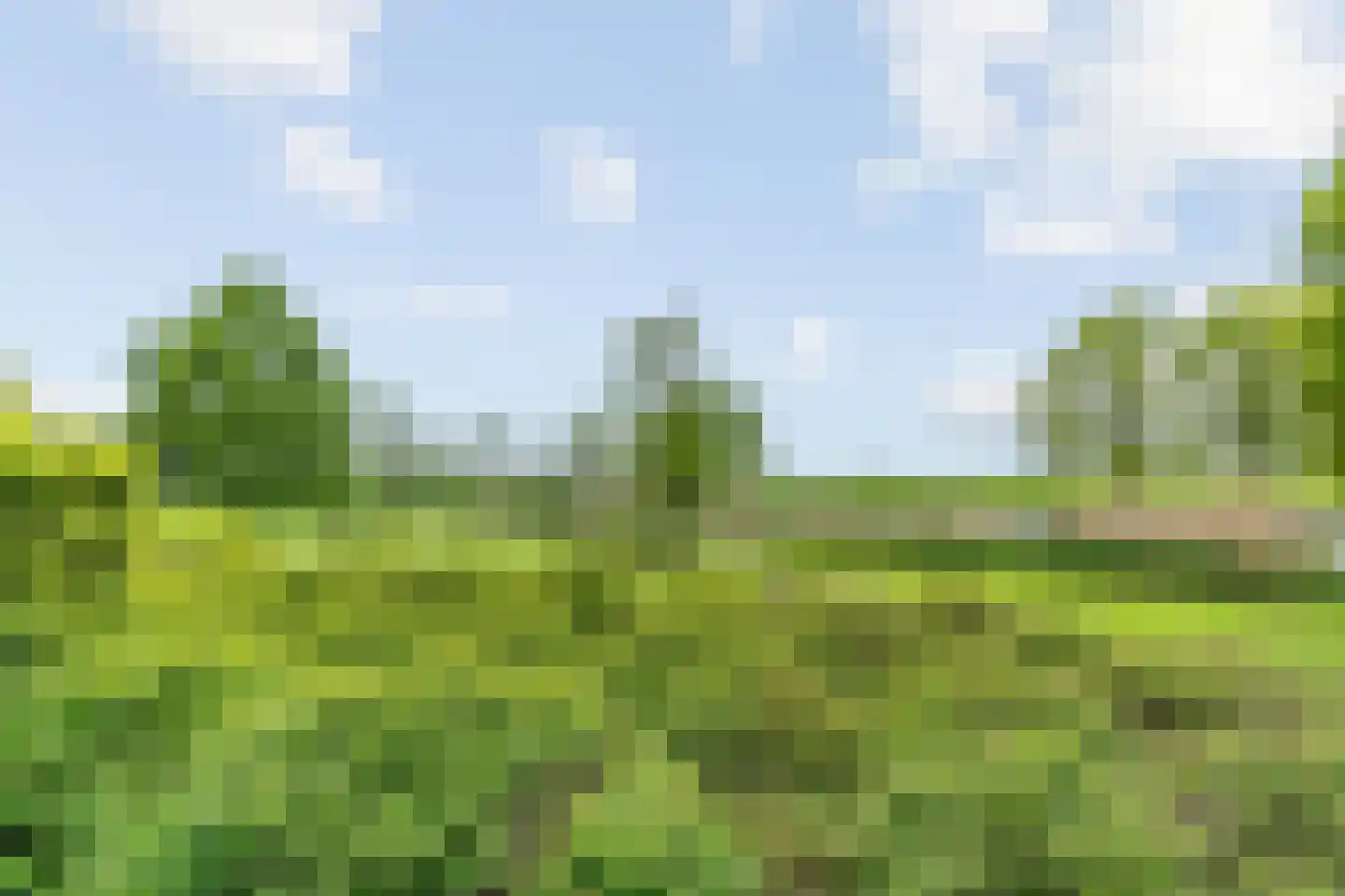 Nieënhof 36 Heeten thumbnail 4