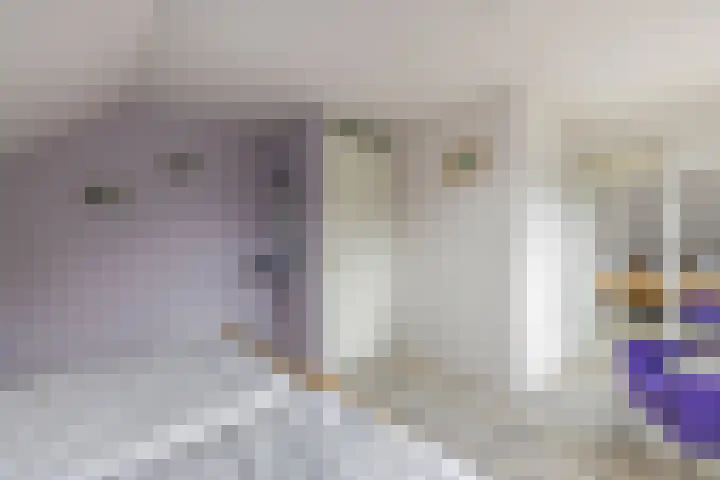Nieënhof 36 Heeten thumbnail 40