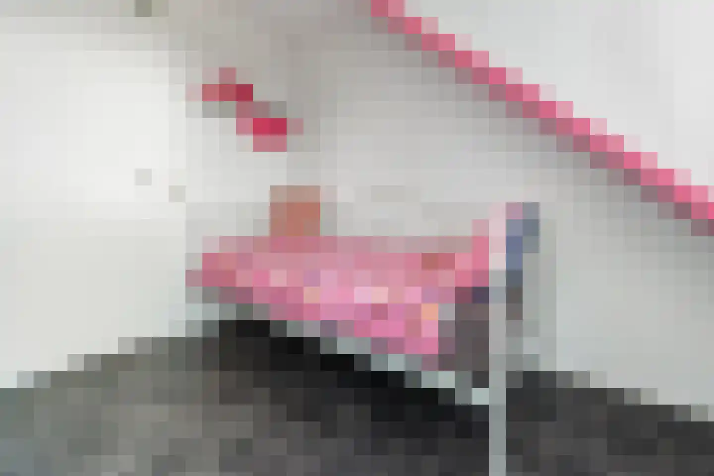 Nieënhof 36 Heeten thumbnail 41