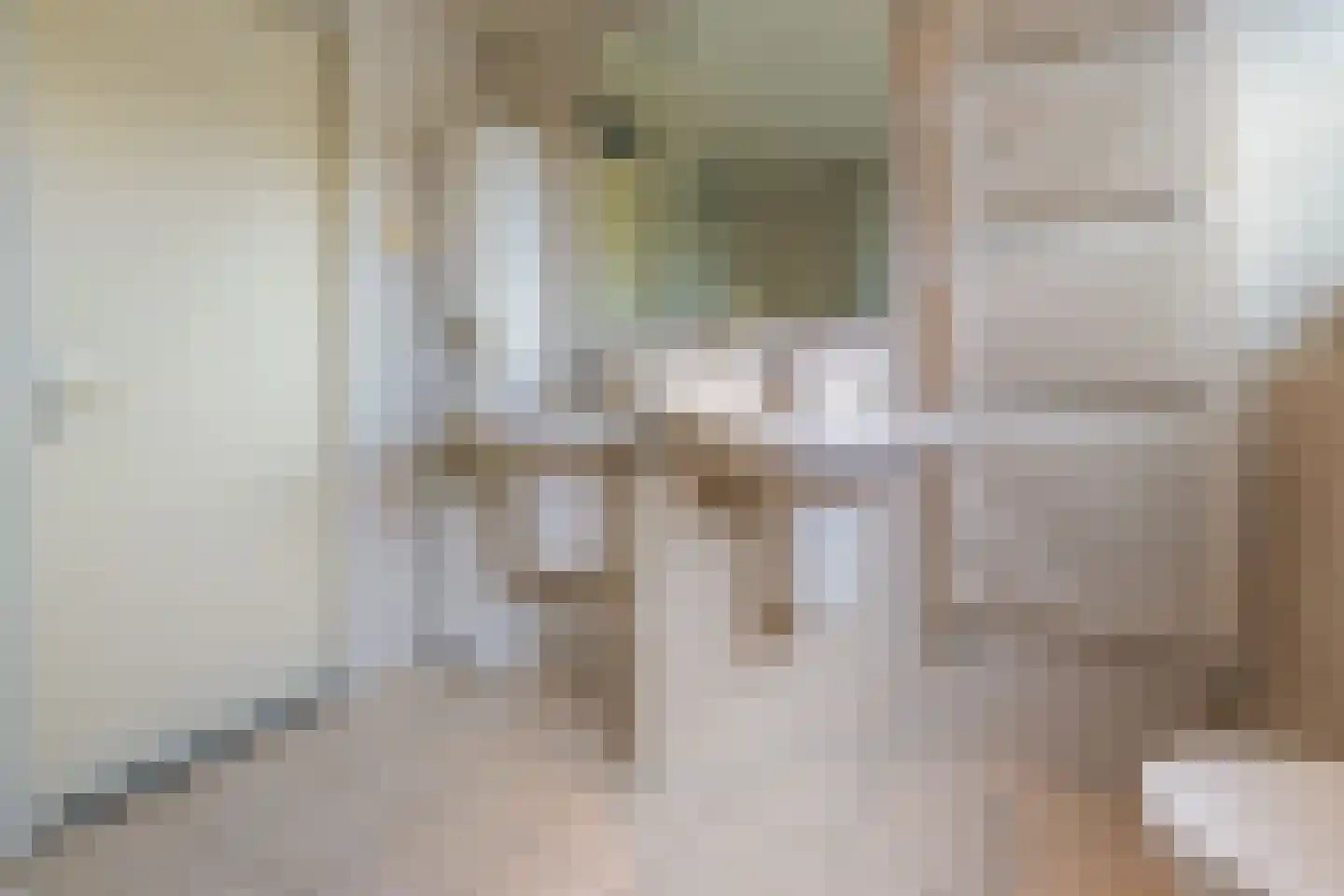 Nieënhof 36 Heeten thumbnail 45