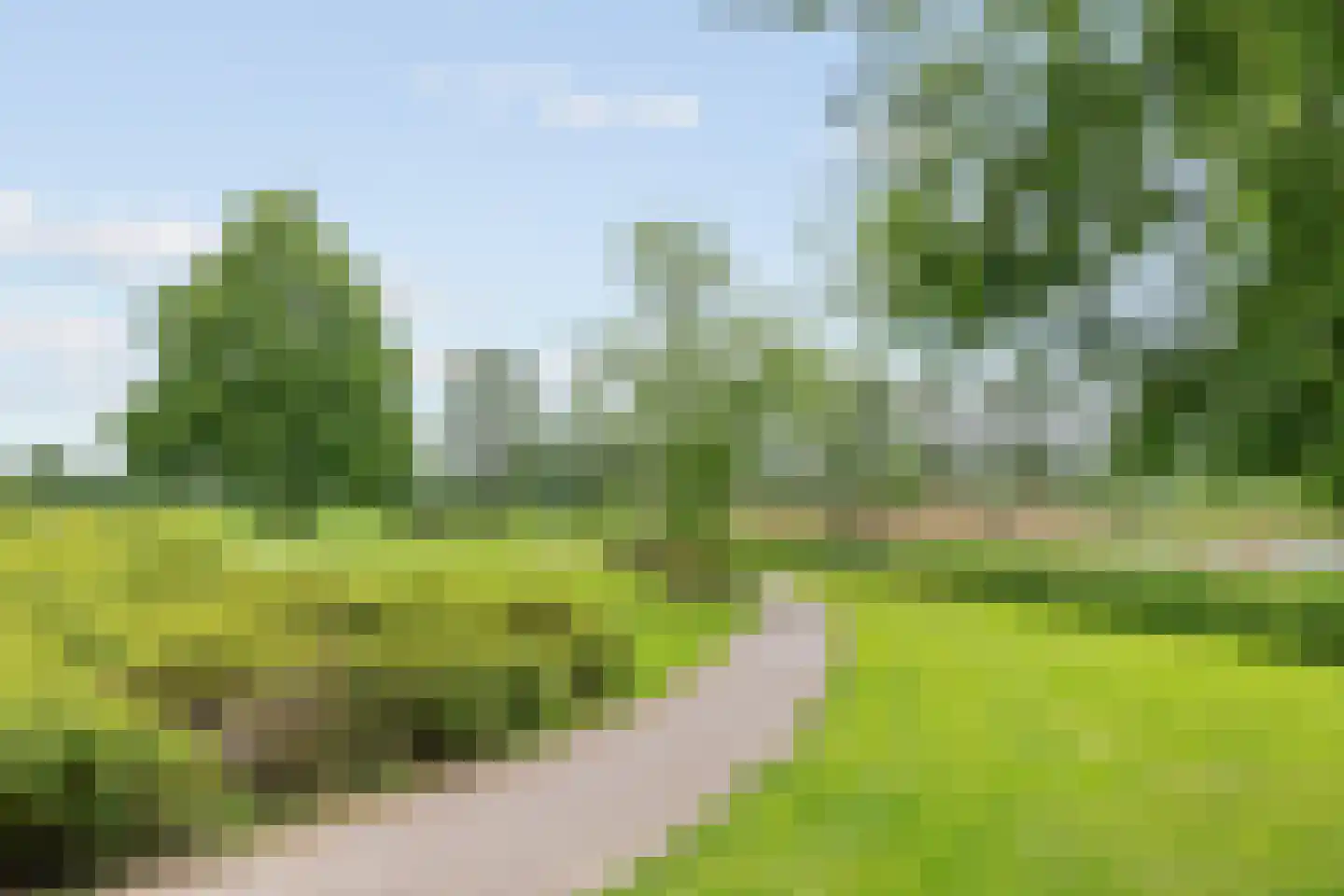 Nieënhof 36 Heeten thumbnail 5