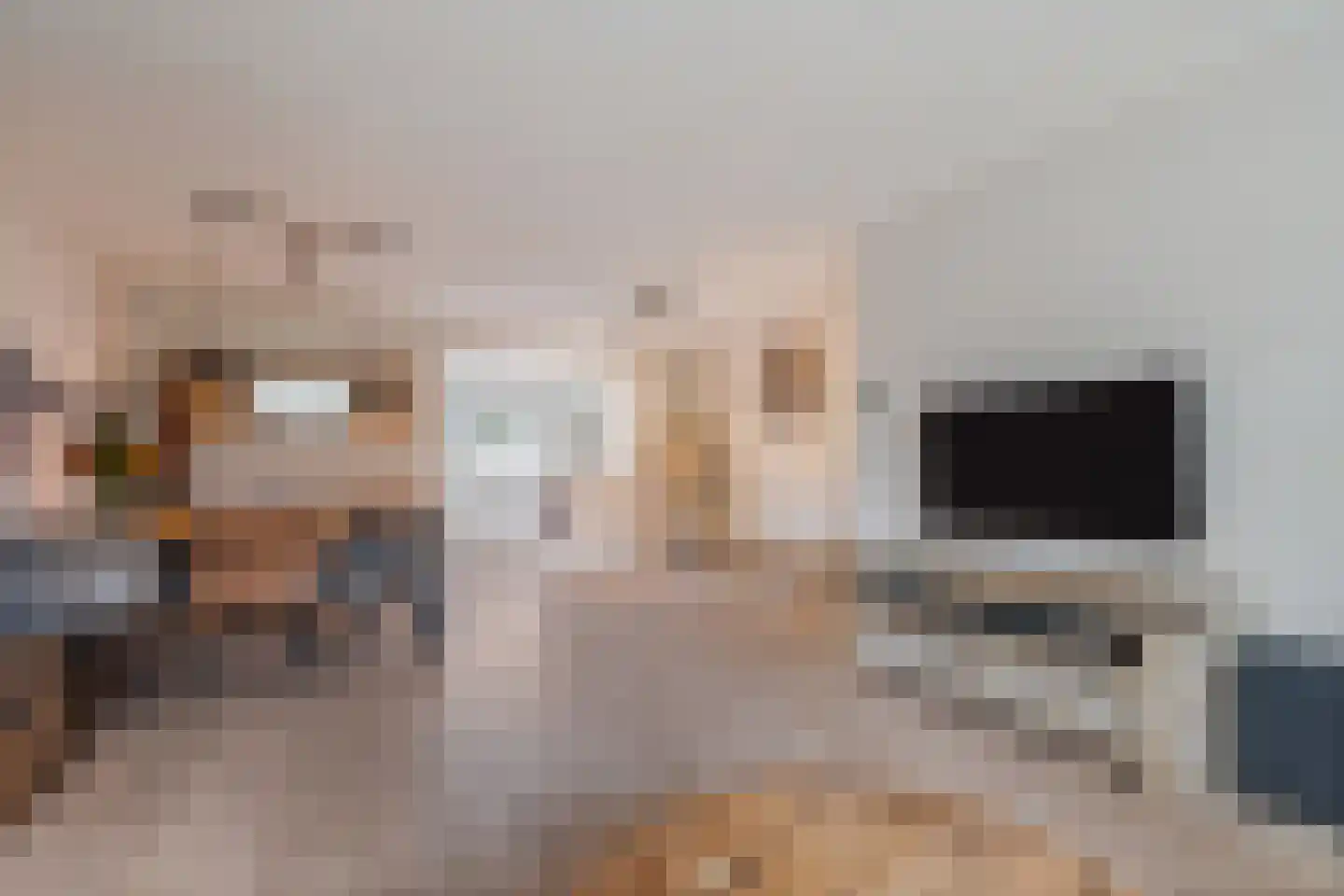 Nieënhof 5 Heeten thumbnail 10