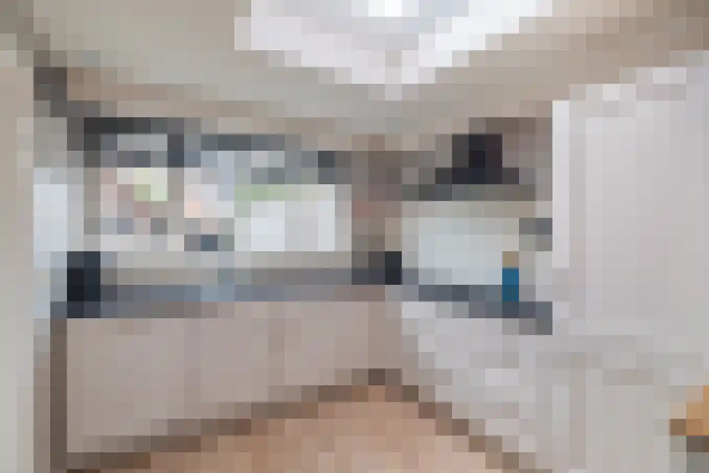 Nieënhof 5 Heeten thumbnail 15