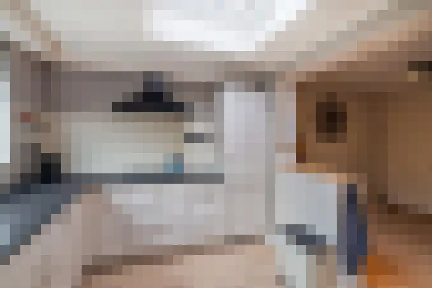 Nieënhof 5 Heeten thumbnail 16