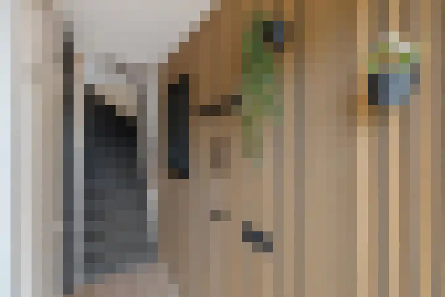 Nieënhof 5 Heeten thumbnail 19
