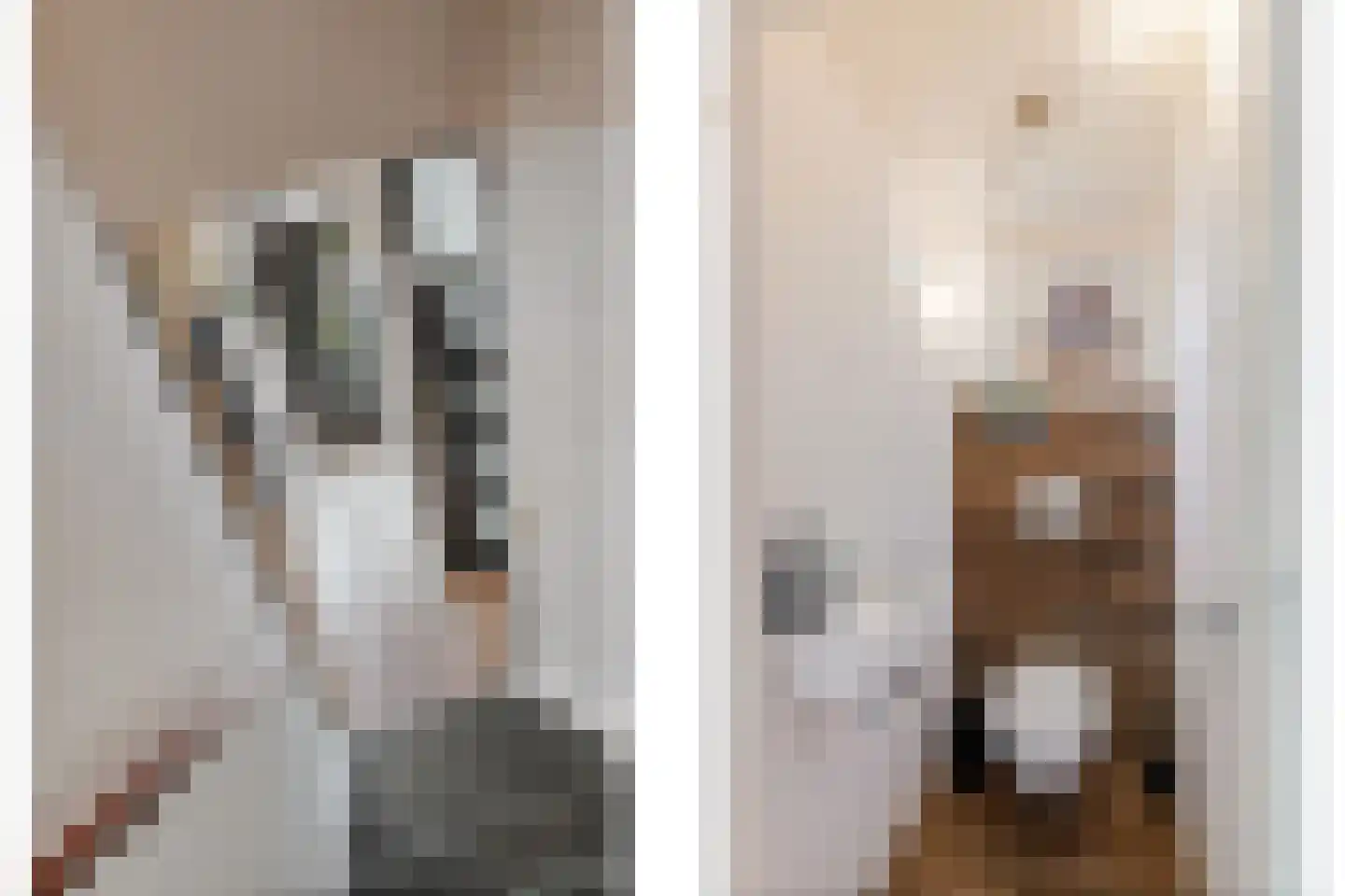 Nieënhof 5 Heeten thumbnail 20