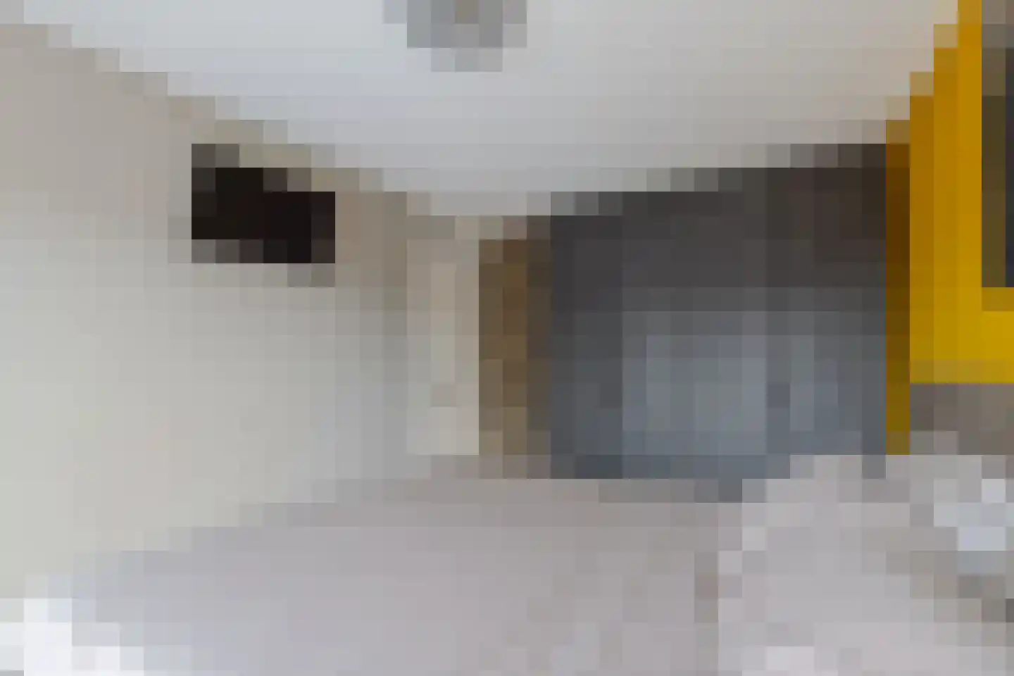 Nieënhof 5 Heeten thumbnail 22