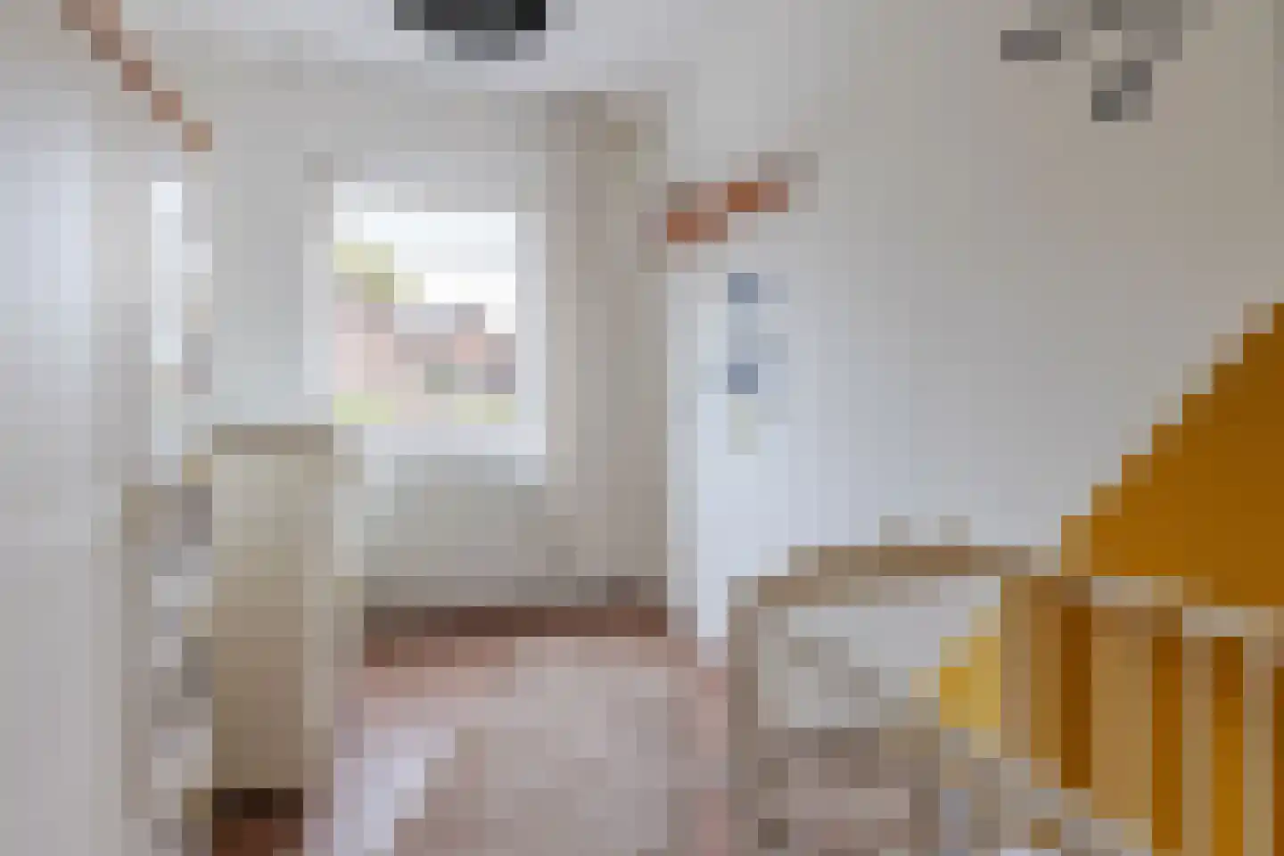 Nieënhof 5 Heeten thumbnail 25