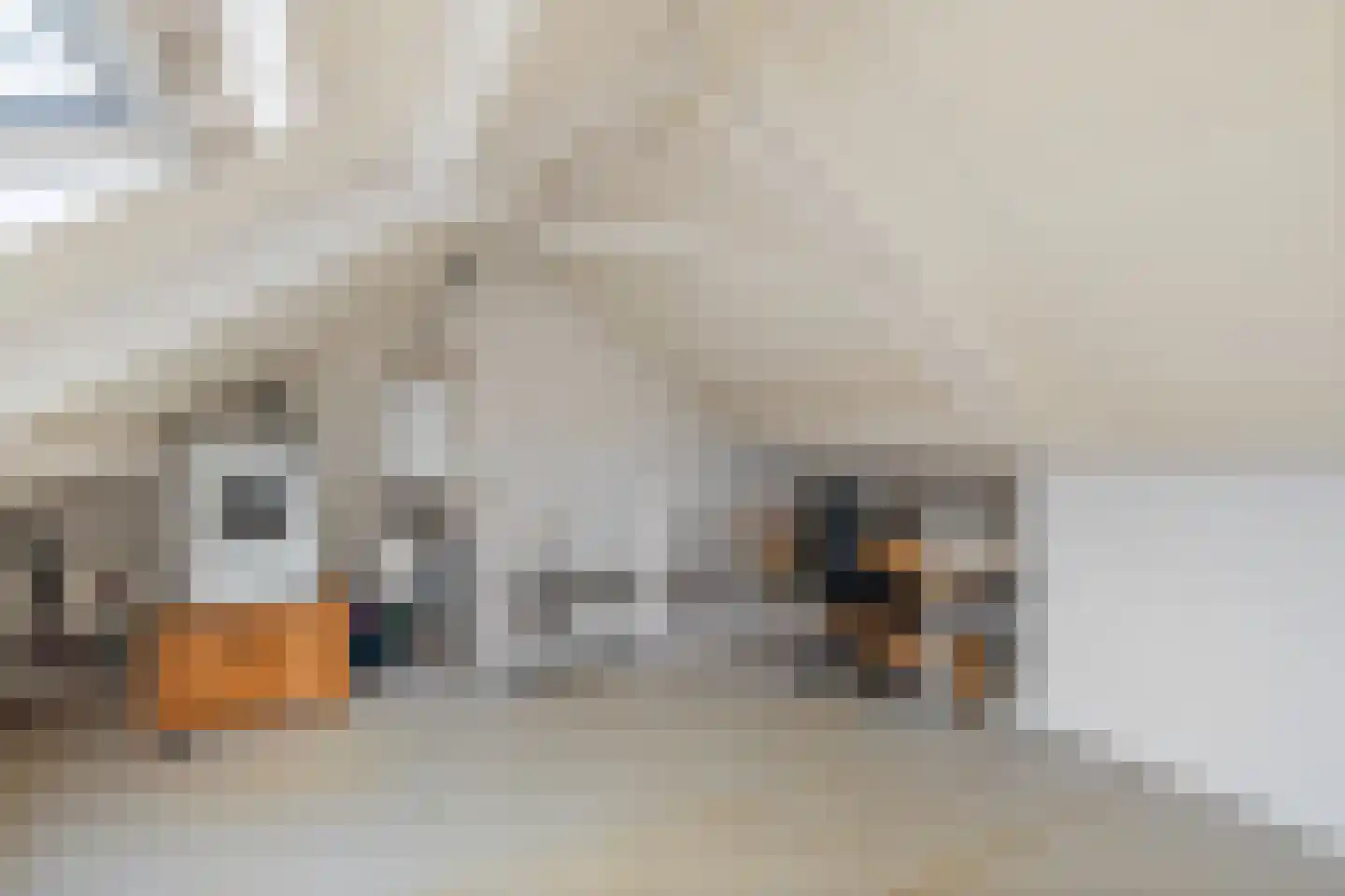 Nieënhof 5 Heeten thumbnail 30