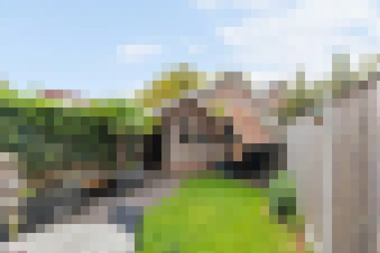 Nieënhof 5 Heeten thumbnail 31