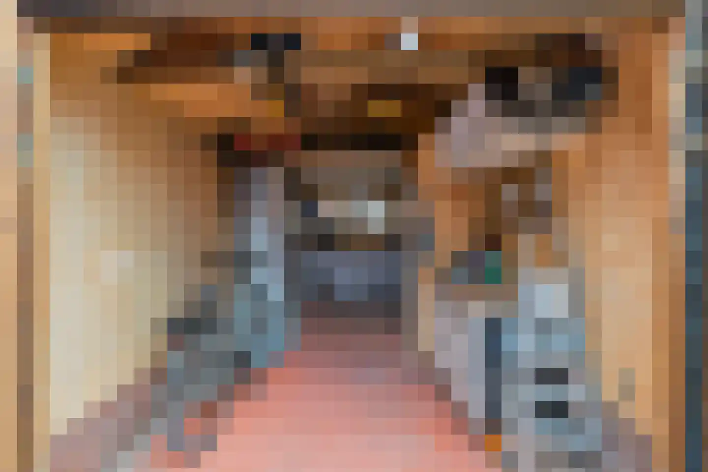 Nieënhof 5 Heeten thumbnail 37
