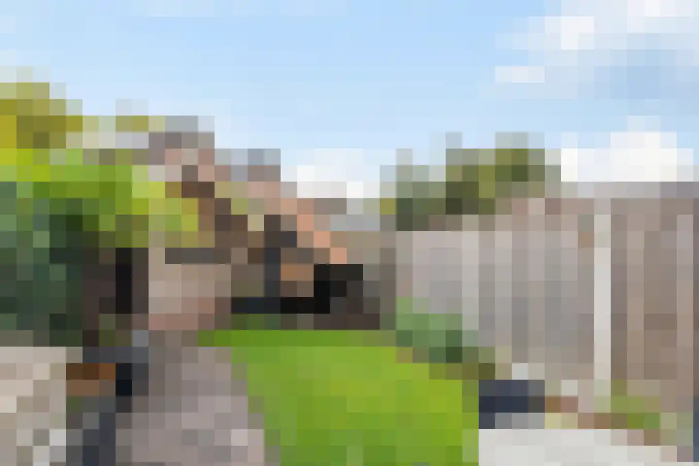 Nieënhof 5 Heeten thumbnail 4