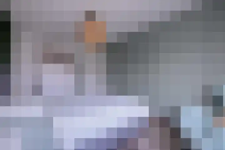 Nieënhof 57 Heeten thumbnail 14