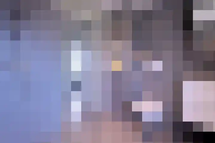 Nieënhof 57 Heeten thumbnail 22
