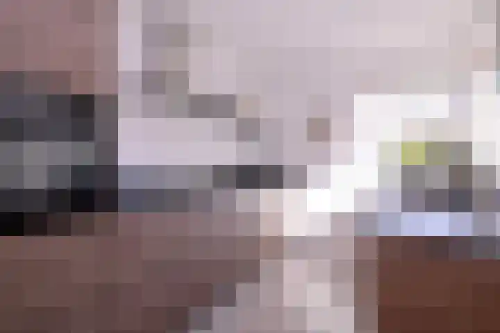 Nieënhof 57 Heeten thumbnail 8
