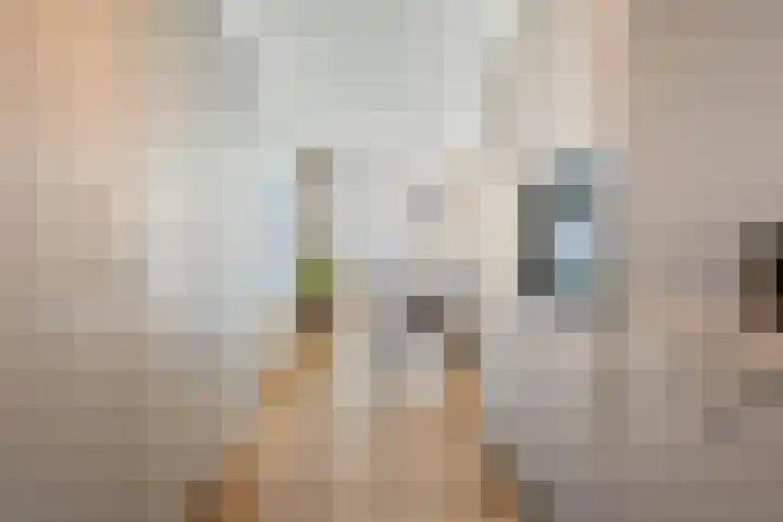 Nieënhof 64 Heeten thumbnail 18