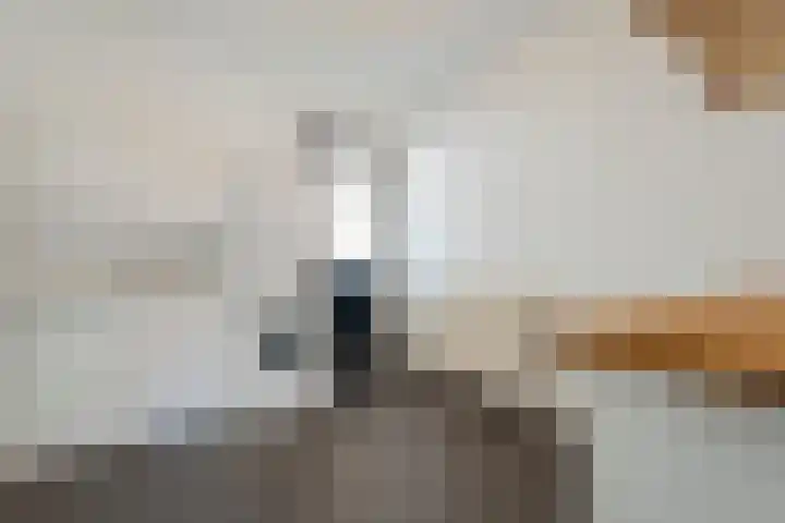 Nieënhof 64 Heeten thumbnail 23