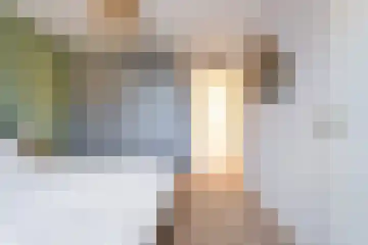 Nieënhof 64 Heeten thumbnail 29