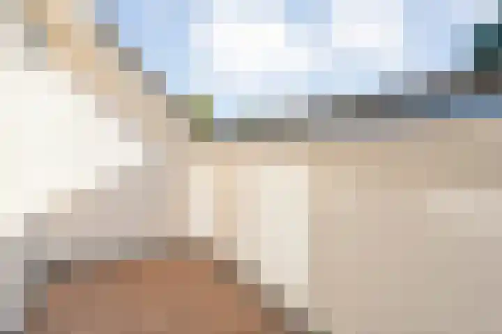 Nieënhof 64 Heeten thumbnail 38