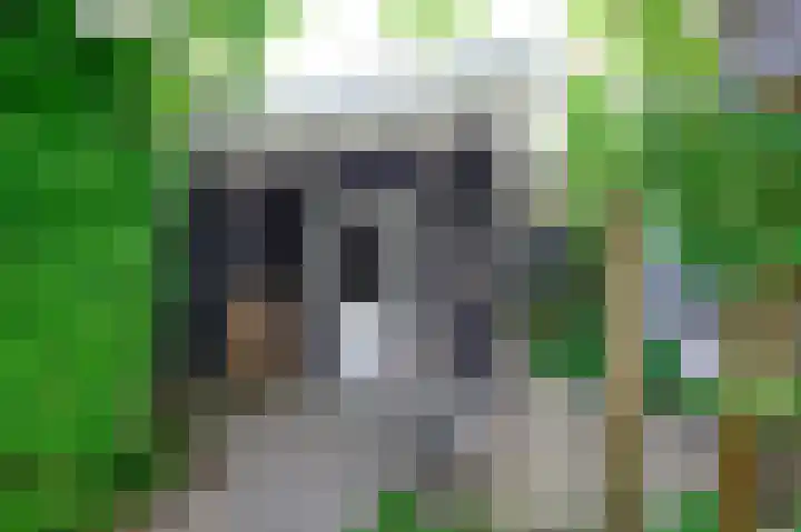 Nieënhof 64 Heeten thumbnail 39