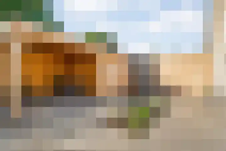 Nieënhof 64 Heeten thumbnail 48
