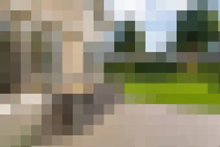 Nieënhof 64 Heeten thumbnail 49