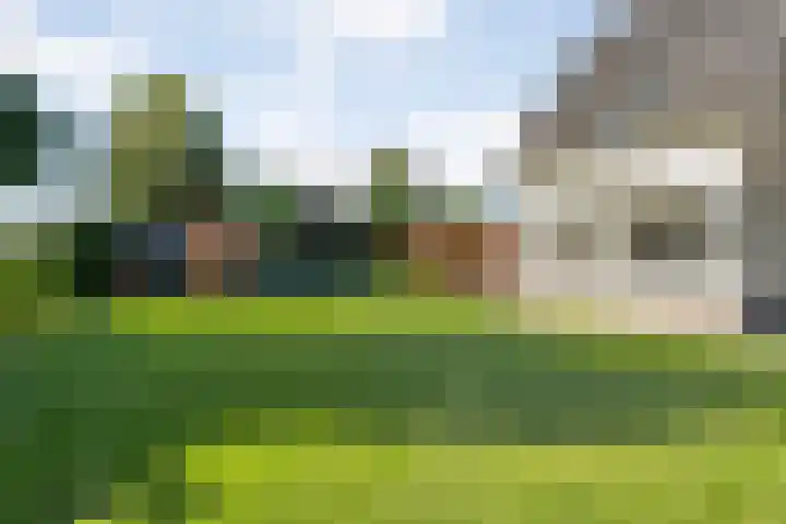 Nieënhof 64 Heeten thumbnail 51
