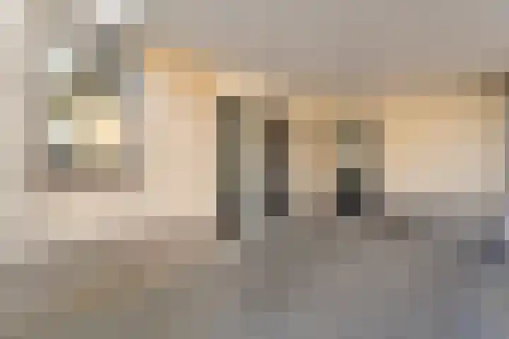 Nieënhof 64 Heeten thumbnail 8