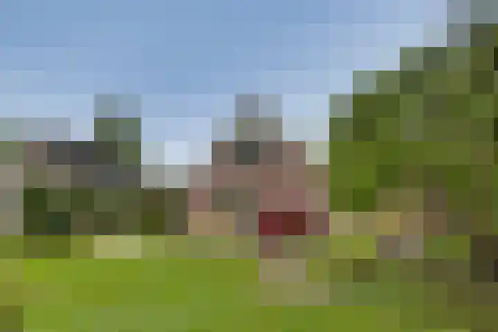 Nieënhof 90 Heeten thumbnail 12