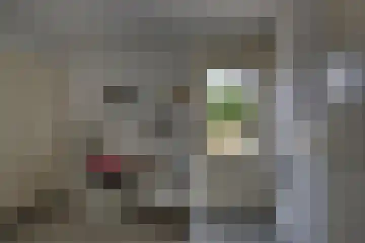 Nieënhof 90 Heeten thumbnail 16
