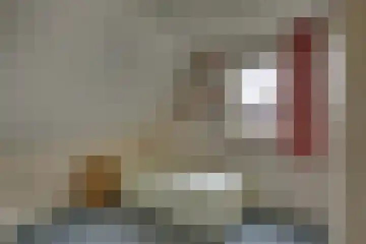 Nieënhof 90 Heeten thumbnail 21